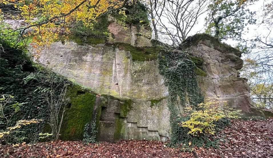 Burgruine Neukastel, Leinsweiler, Germany, Germany